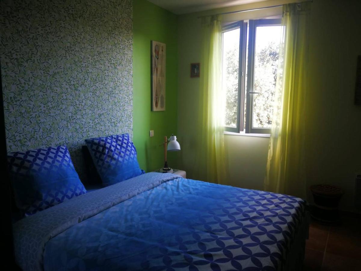 Chambre Cosy Nîmes Eksteriør bilde